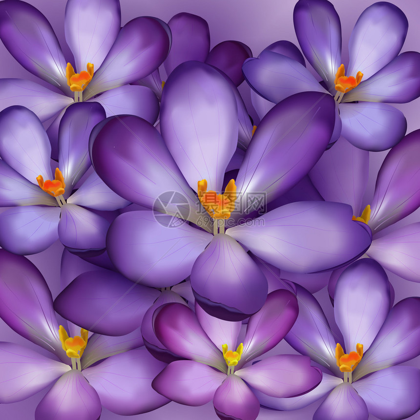 紫罗花无缝模式图片