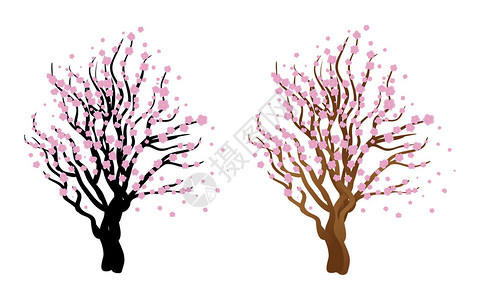日本樱花的插图与开花樱花树背景图片