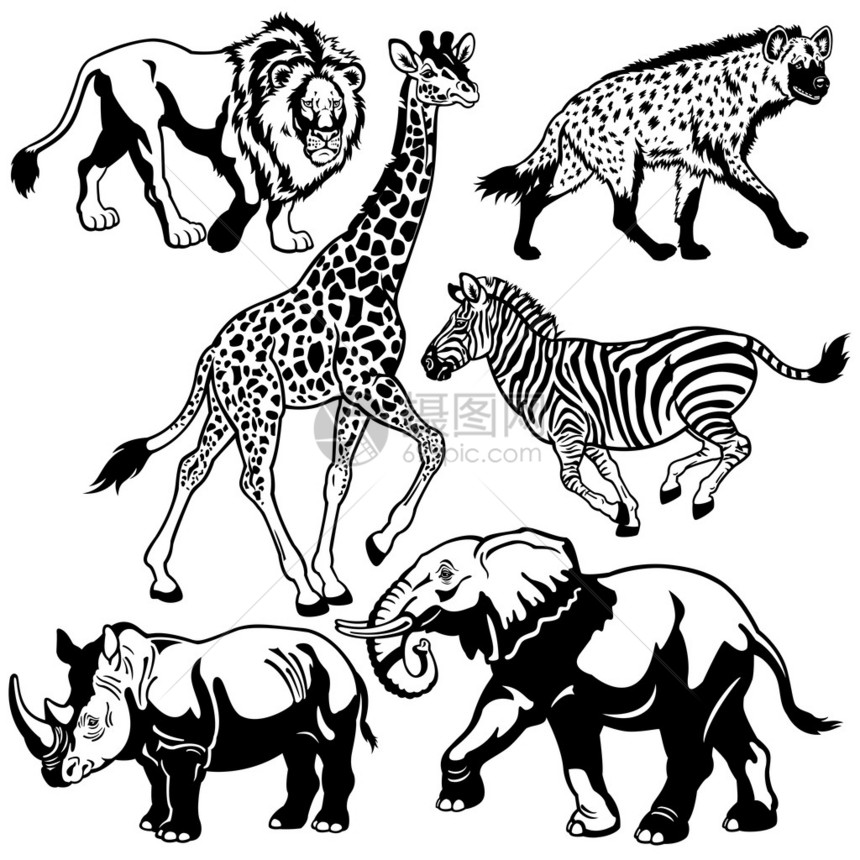 与非洲动物热带草原的野兽黑白图片矢量图片
