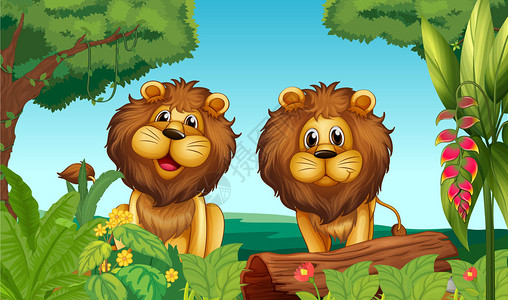 森林中两只狮子的插图图片