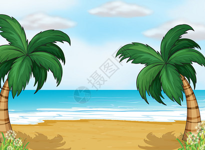 海边椰子树的插图图片