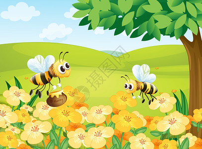 蜜蜂寻找食物的插图图片