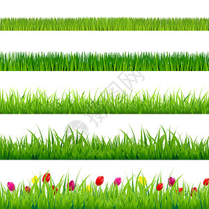 绿色大草和花朵与渐变网格孤立于红色背背景图片