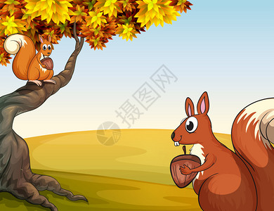 松鼠在山上的坚果的插图图片