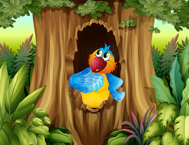 奥伯霍芬一只鹦鹉在树洞内的插图插画