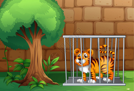 一只老虎在钢笼里的插图图片