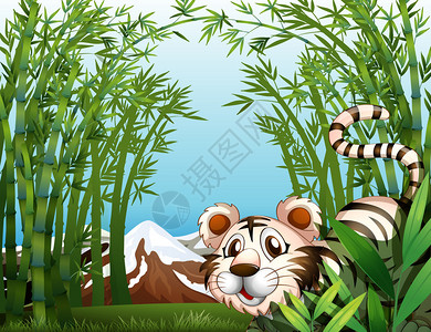 竹林中一只老虎的插图图片
