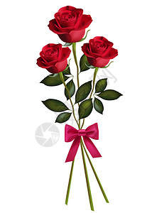 美丽的红玫瑰蝴蝶结图片
