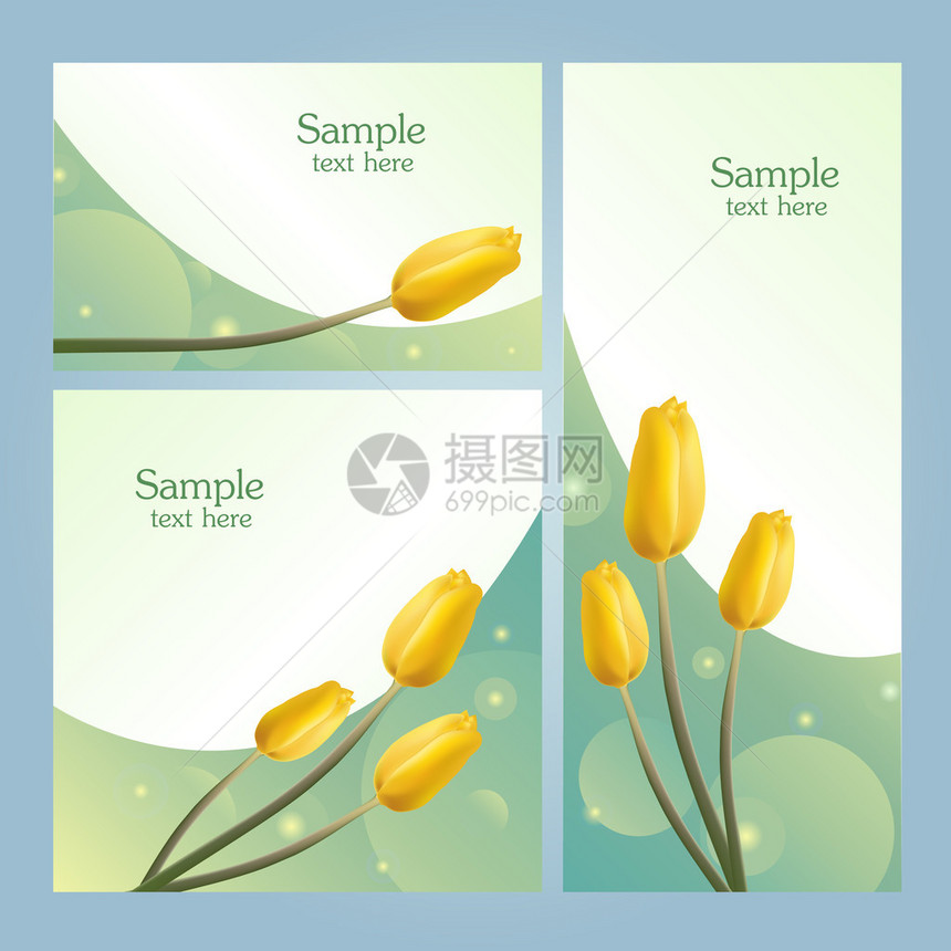 一组横幅与春天的花朵黄色郁金香图片