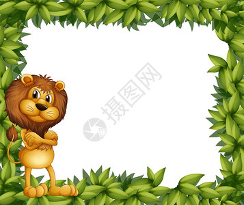 一头狮子在叶框左侧的插图图片