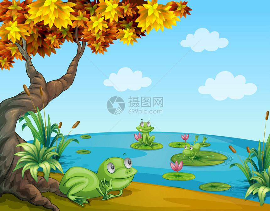 三只绿色青蛙在池塘的例证图片