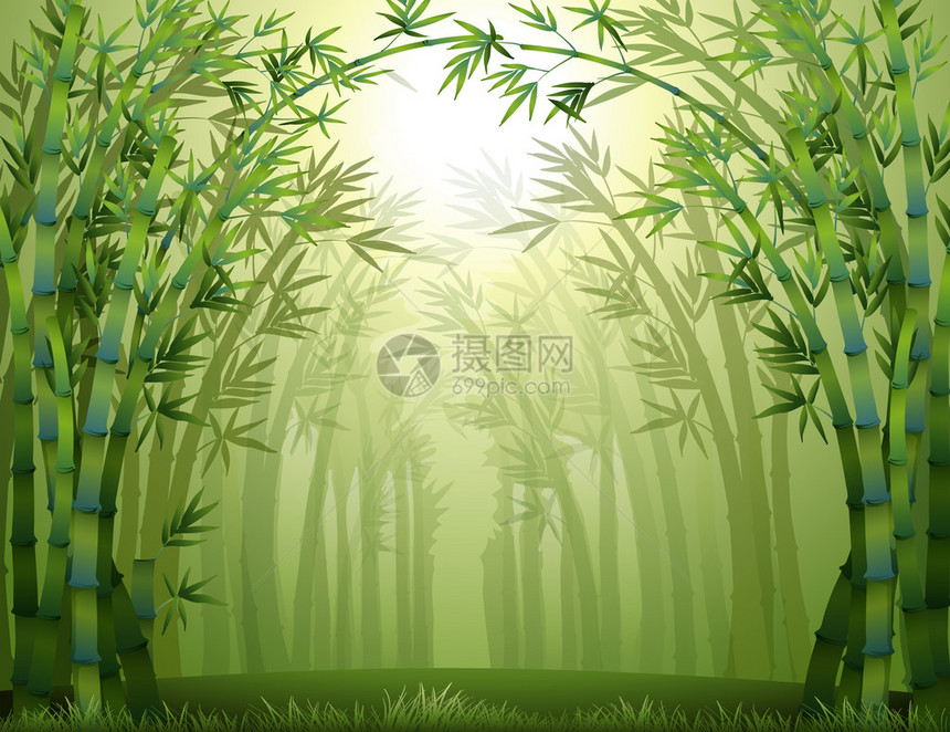森林内的竹树插图图片