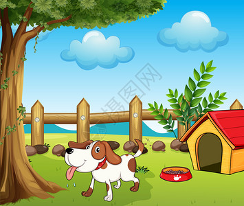 博尔迪安努栅栏栅栏内一只口渴的狗插图插画