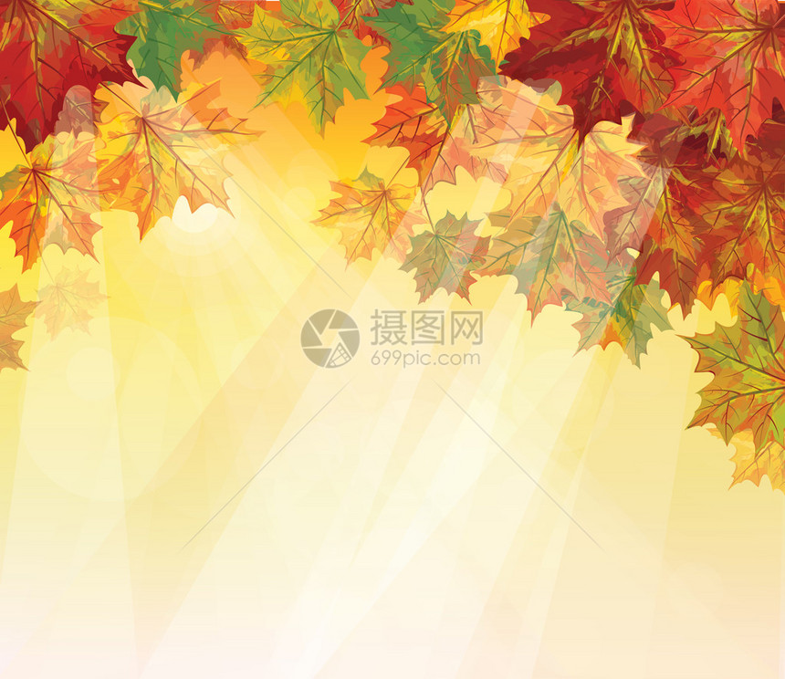 黄色背景上的秋叶矢量图片