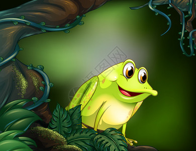 一棵大树与一只绿色青蛙的插图图片