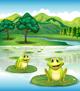 睡莲上方两只青蛙的插图图片
