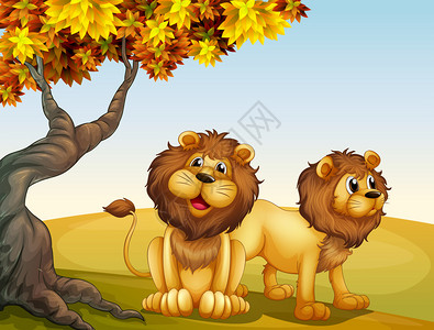 一棵大树与两只狮子的插图图片