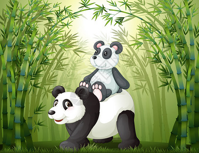 竹林内两只熊猫的插图图片