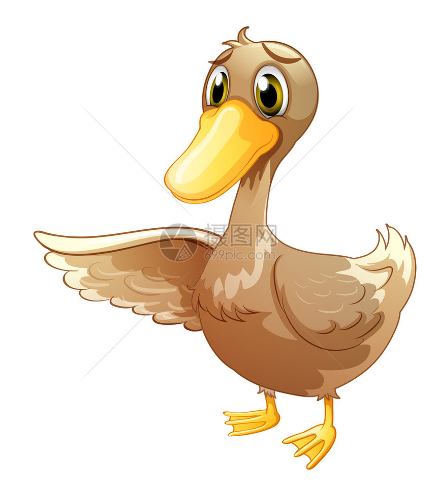 白色背景的棕鸭插图Brown图片