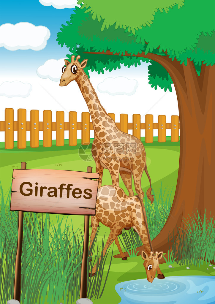 木栅栏内的长颈鹿插图图片