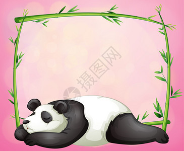 绿色框架和熊猫睡在粉红背景图片