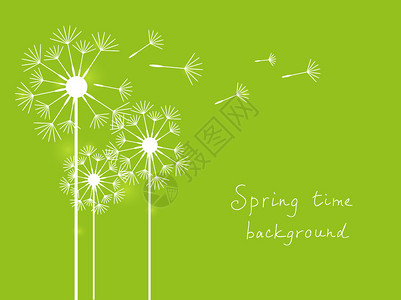 春天背景与绿色的蒲公英图片