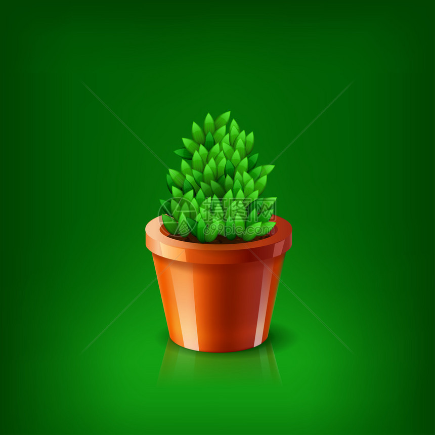 有绿色植物的花盆图片