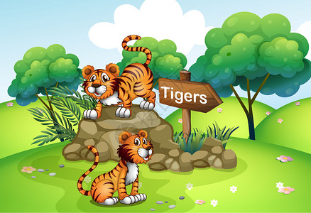 木箭附近老虎的插图图片