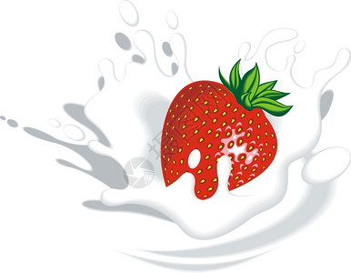 在白色背景上分离的牛奶或酸奶中的新鲜草莓图片