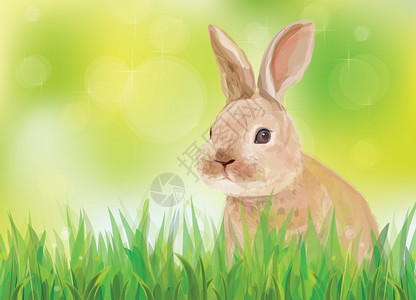 春天背景与兔子在绿草中的矢量图片