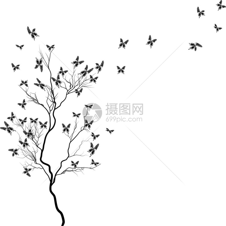 蝴蝶和树的春天插图图片