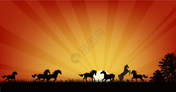 红色夕阳下的马群插图图片
