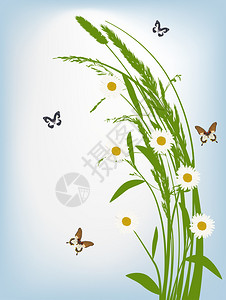插图与白色的花朵和蝴蝶装饰图片
