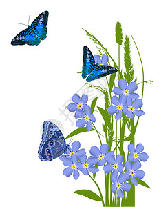 带有蓝色花朵和蝴蝶装饰的插图图片