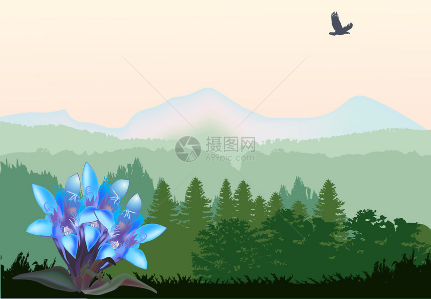 山中蓝色花朵的插图图片