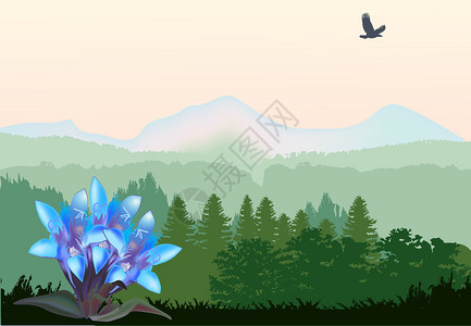 山中蓝色花朵的插图图片