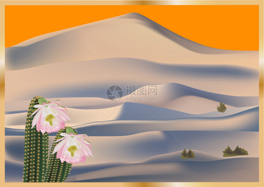 沙漠中仙人掌的插图图片