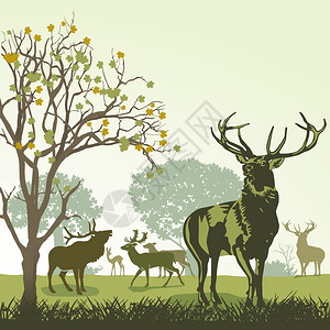 林区秋天的鹿和野生动物插画