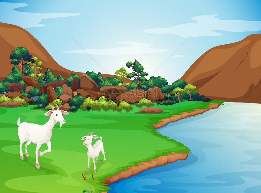 两只山羊在河岸的插图图片