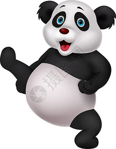 熊猫卡通做武术的插图图片