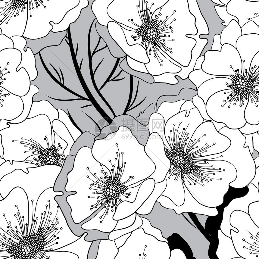 从单色黑白花和树枝的背景图片