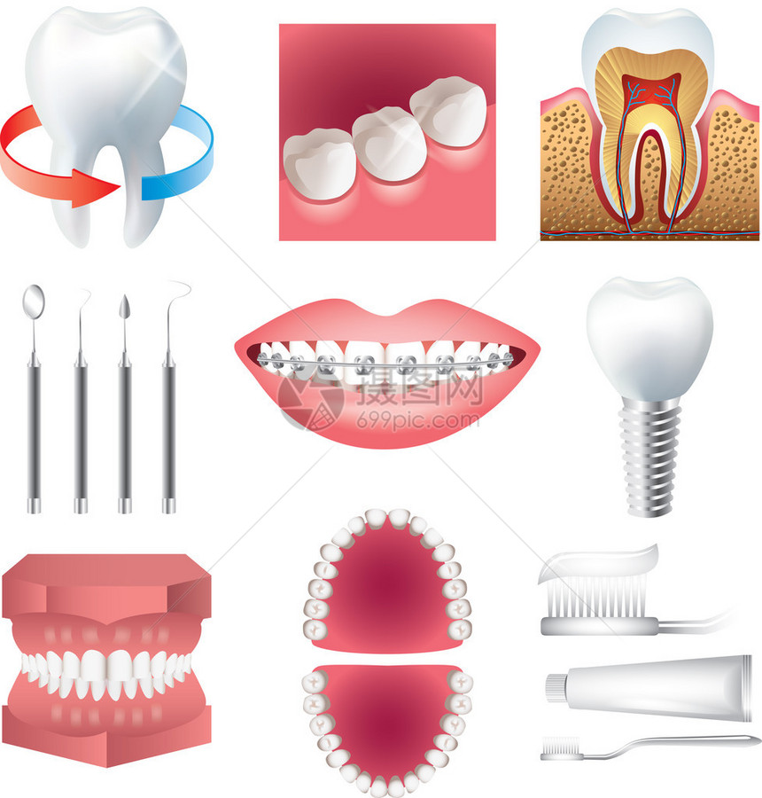 牙齿保健和口腔生物学光现实图片