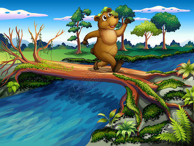 一只熊在过河时奔跑的插图图片