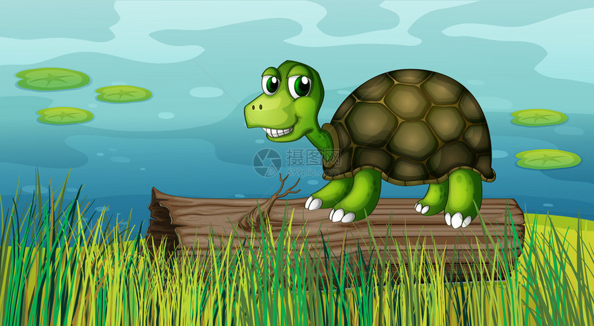 河岸木头上方的乌龟插图图片