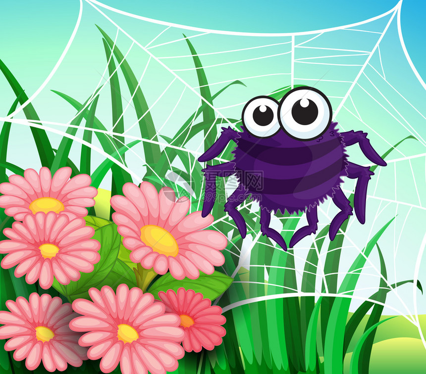 花园蜘蛛网的插图图片