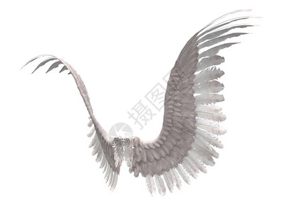 白色羽毛天使翅膀的数字渲染图像图片