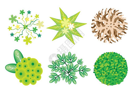 园林装饰树梢符号或等距树木和植物植物品种常青树和图片
