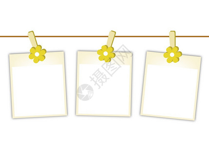 三个空白的即时照片印刷或焦光框架挂在黄色宇宙花朵上图片