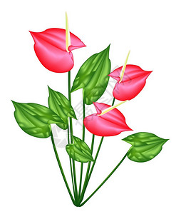 暮光鲁克伦科美丽的花朵红花或光绿叶上的火焰花的插图式心跳闪烁插画