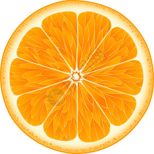 白色背景上的橙色图片